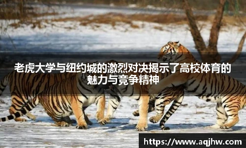 九游体育官方网站
