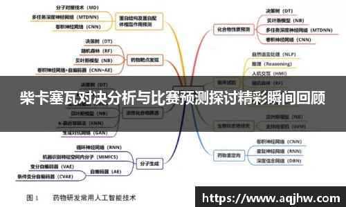 柴卡塞瓦对决分析与比赛预测探讨精彩瞬间回顾
